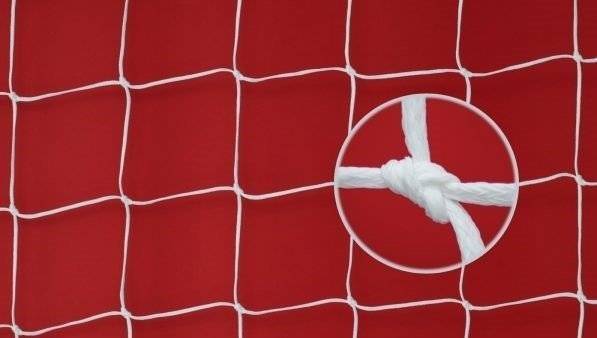 Plase porti fotbal 7.32x2.44, polietilena, fir Ø5.5mm
