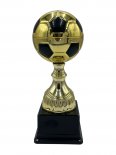 Cupa fotbal 392