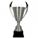 Cupa metal 2082