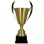 Cupa metal 2081