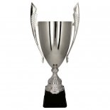 Cupa metal argint 1070