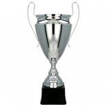 Cupa metal-argint 2020