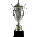 Cupa metalica aur/argint