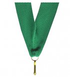 Panglica 11mm verde