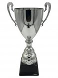 SN311200 Cupa argint